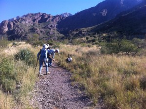 Crawford Trail and the Organ Needles