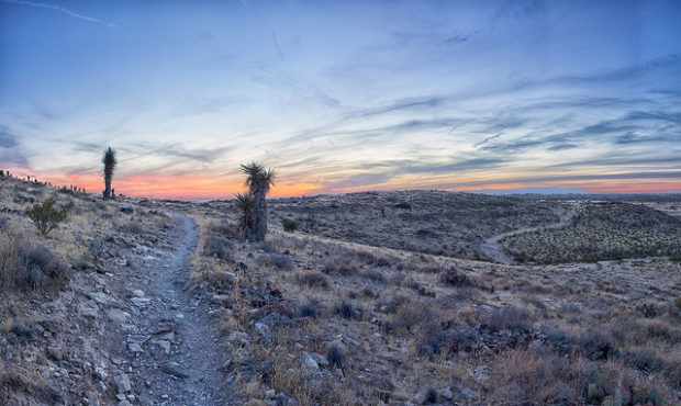 Trail Talk