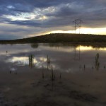 Postmonsoon
